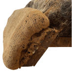 Stuffings at top of back