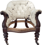 The stripped inner back